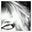 Courtney Evans's profile image