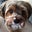 Kristina Lee's profile image