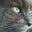 Bobbi Komaromi's profile image