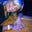 Ruia Lisa's profile image