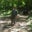 Christopher Bagan's profile image