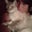 Alysse Barstow's profile image