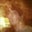 Geoff Gurak's profile image