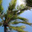 Daniel E's profile image