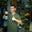 Ryan Visanska-Hartwick's profile image