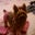 Hilary Forsythe's profile image