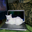 Kathy Ball's profile image
