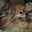 Tric Sepulveda's profile image