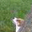 Pamela Weathers Omelson's profile image