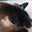 John Clark's profile image