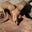 Ted Kihm's profile image