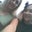 Nina Cappo's profile image