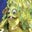 Sigmund's profile image