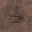 Jonathan Kraus's profile image