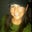 Candace Imsand's profile image