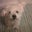 Beckie Margedant's profile image