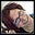 Darcee Sellers's profile image