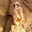 Christopher Worley's profile image