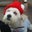 Roy Kusuma's profile image