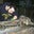 Christopher Lyell's profile image