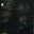 Brandon Makin's profile image