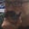 Mark Tran's profile image