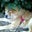 Janice Clemons's profile image