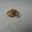 Daniel Van Cleef's profile image
