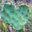 Pickles Penniweather's profile image