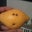 Stephen Schor's profile image