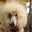 Donna Childers-Thirkell's profile image