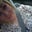 courtney duncan's profile image