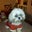 Susan Miller's profile image