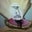 Stephen Cornell's profile image