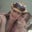 Erin Smith-Meharg's profile image