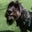 Bill Kenney's profile image