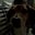 Kean Mccarty's profile image