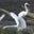 Jennifer Howard's profile image