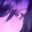 Barbara Fonseca's profile image