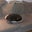 Sean M's profile image