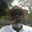Thomas Raines's profile image