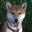 Gary Hays's profile image