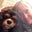 Sandra Wellen's profile image
