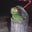 Jennie B's profile image