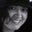 Jessica Ray's profile image