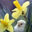 Ann Hanover's profile image