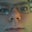 Connor Wilkinson's profile image