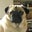 Russ Goodman's profile image