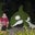 Melissa Malstrom's profile image