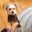 Stephanie Cole's profile image